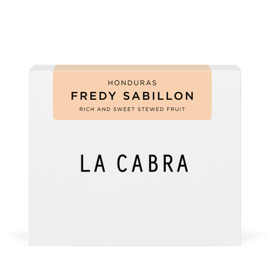 Fredy Sabillon
