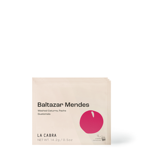 Baltazar Mendez - Steeped