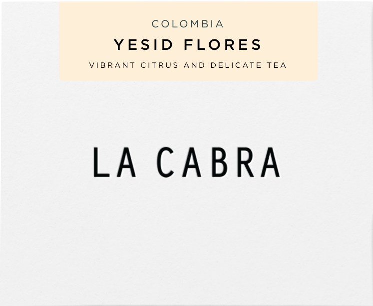 Yesid Flores