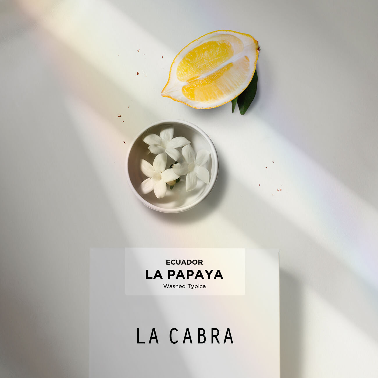 
                      
                        Lade das Bild in den Galerie-Viewer, La Papaya
                      
                    