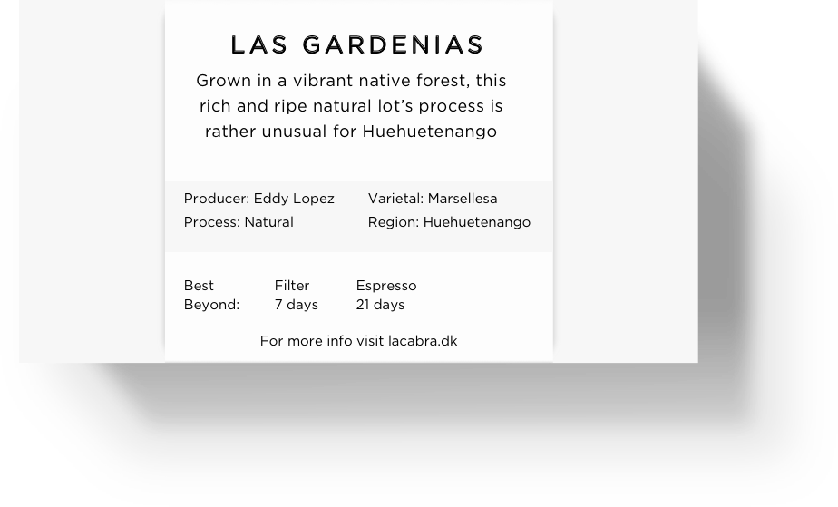 
                  
                    Load image into Gallery viewer, Las Gardenias
                  
                