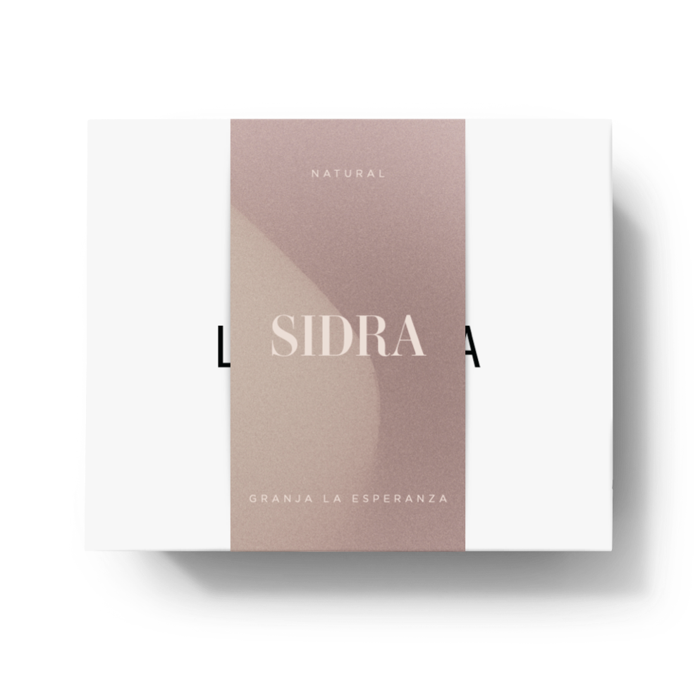 
                      
                        Load image into Gallery viewer, Sidra
                      
                    